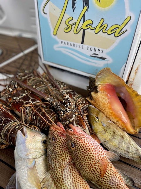 Catch & Grill Excursion (6 Hour)