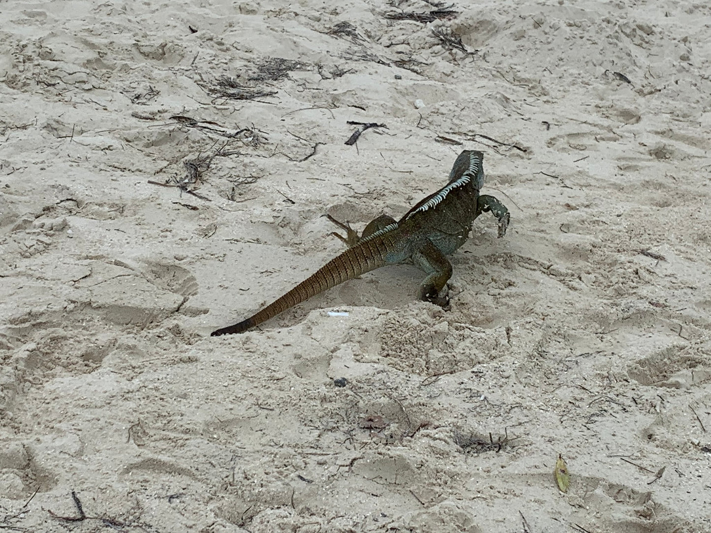 Full Day Excursion (6 hours)