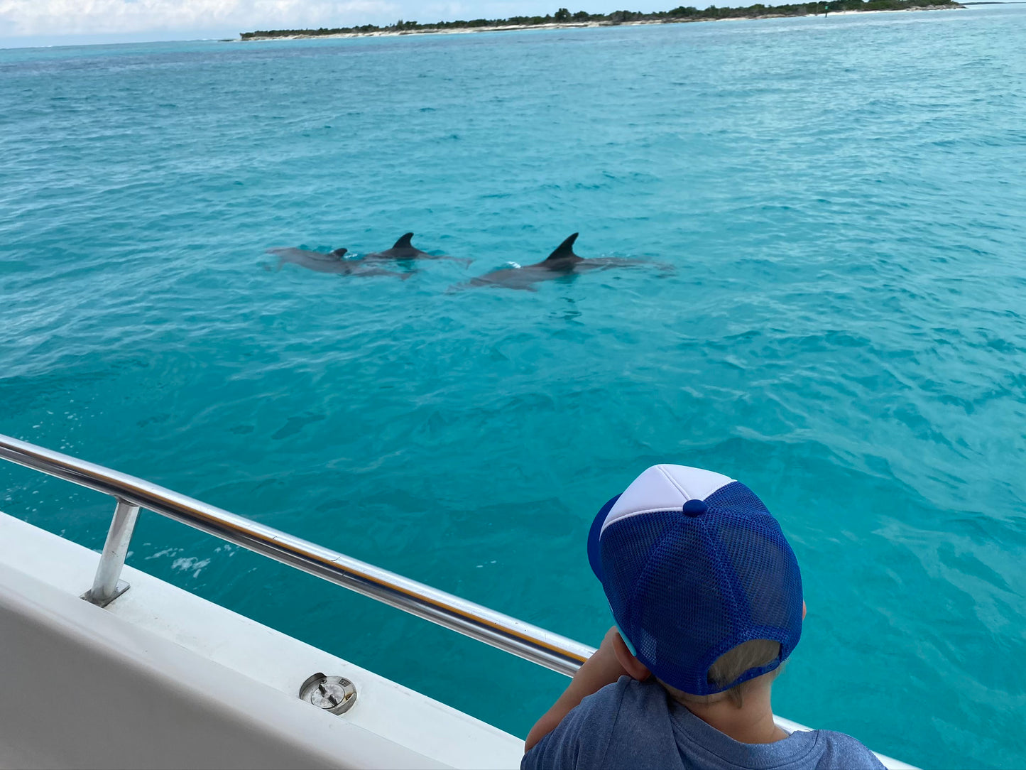 Full Day Excursion (6 hours)